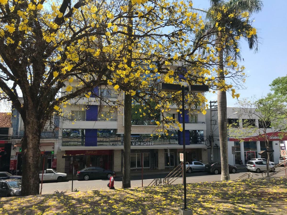 Vip Hotel Jaú 外观 照片